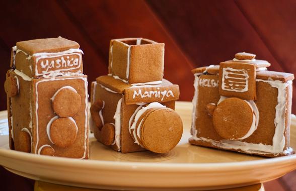 Q & : Sebastian Professional Visionary Harley Viera Newton