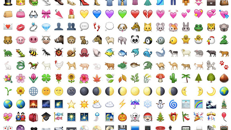 Your Ultimate Guide to High-Waisted Bathing Suits