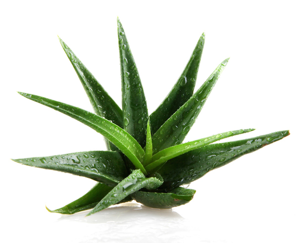 Seven Minerals' Aloe Vera Gel From Amazon Soothes Sunburns Overnight
