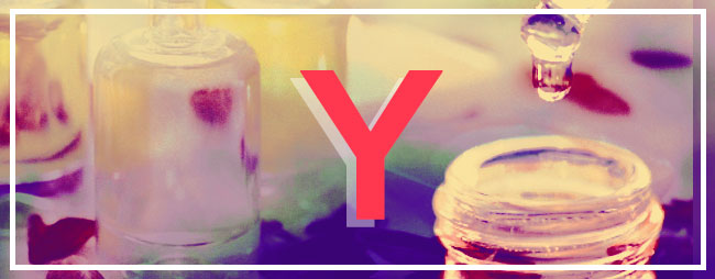 Graphic Design by Candace Napier