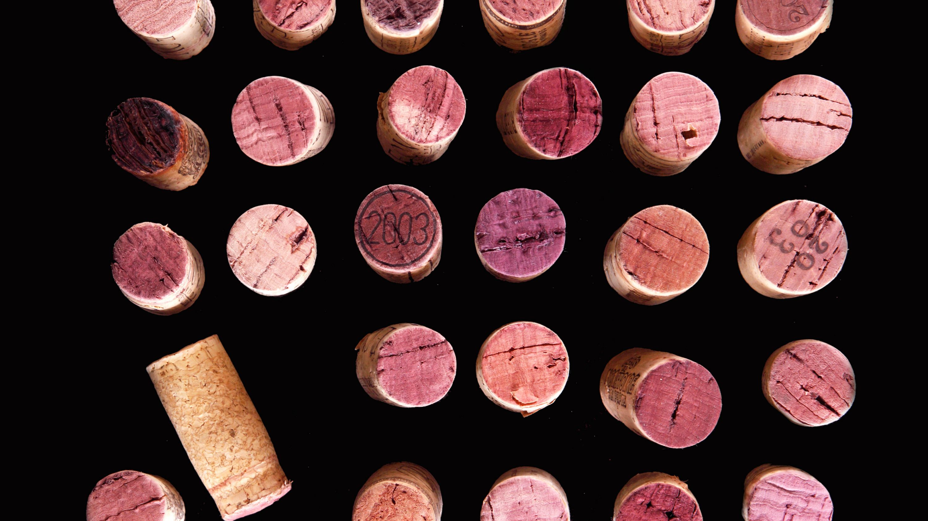 The 5 Best Fall Red Wines Under $25