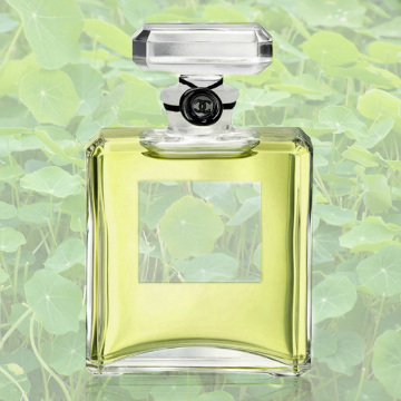 Our Editors Swear By These Life-Changing Red Lipsticks