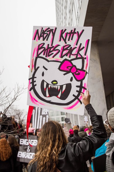 women's march washington dc 2017 signs style