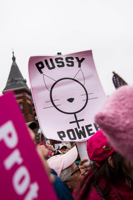 women's march washington dc 2017 signs style