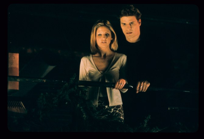 Buffy the Vampire Slayer