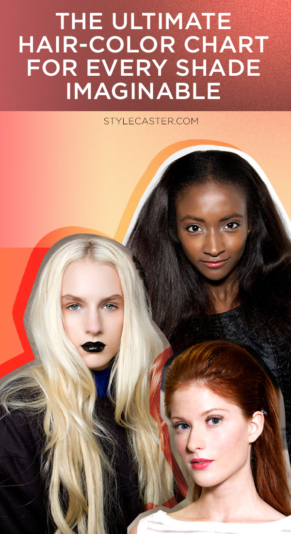 STYLECASTER | The Super-Simple Hair-Color Chart for Every Shade Imaginable