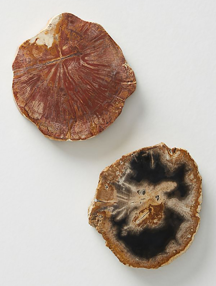 STYLECASTER | 2019 Interior Design Trend: Southwestern Decor Is the New Boho