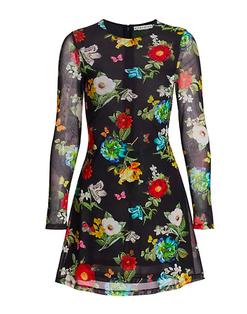 Delora Floral Long-Sleeve Minidress