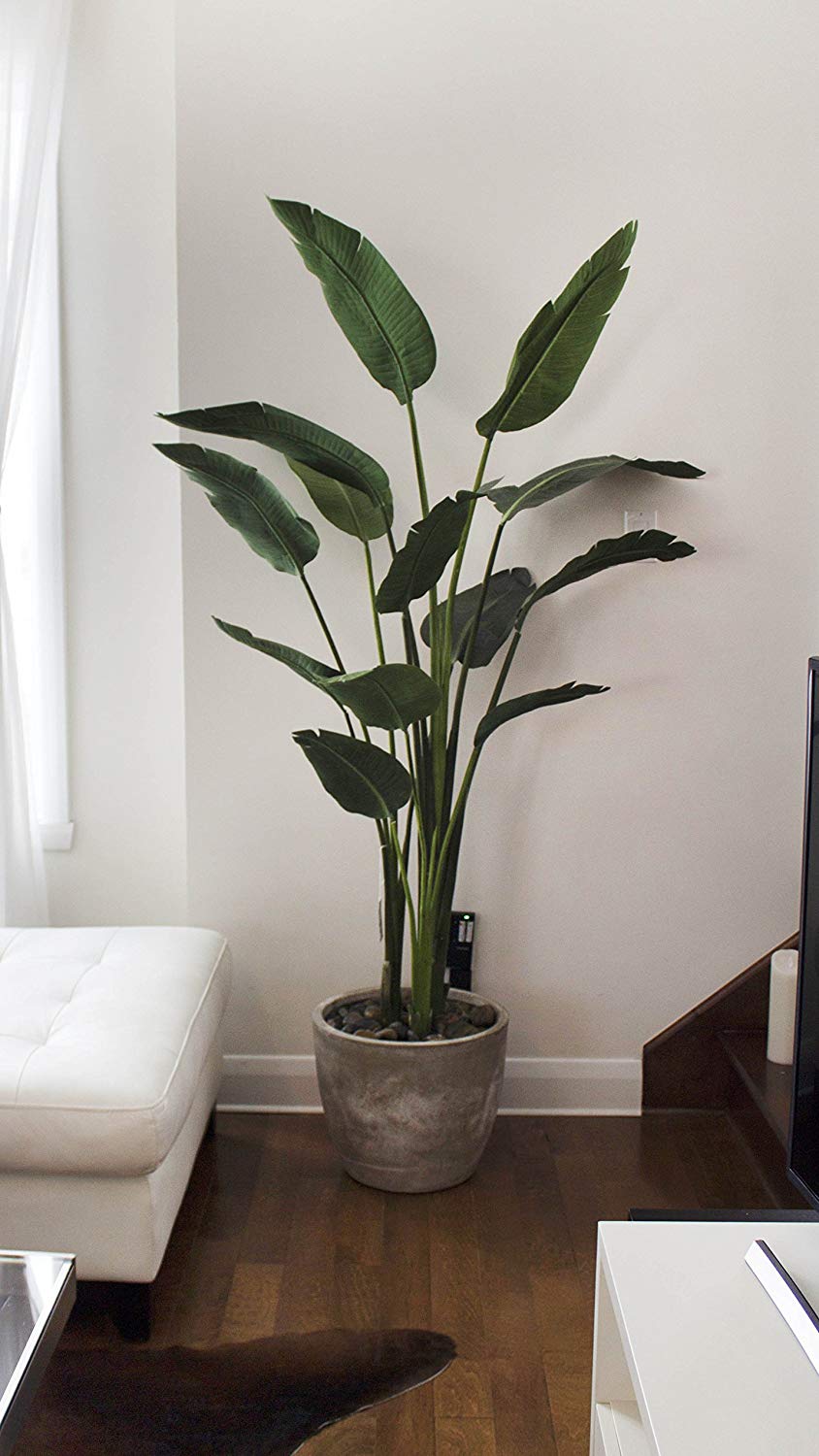 These Faux Plants Will Fool Your Green Thumbed Guests That They're 100% Real | STYLECASTER