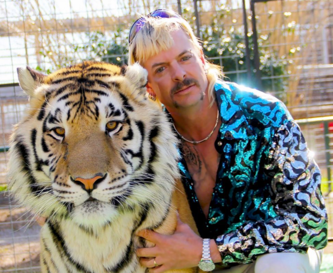 STYLECASTER | Tiger King Zoom backgrounds