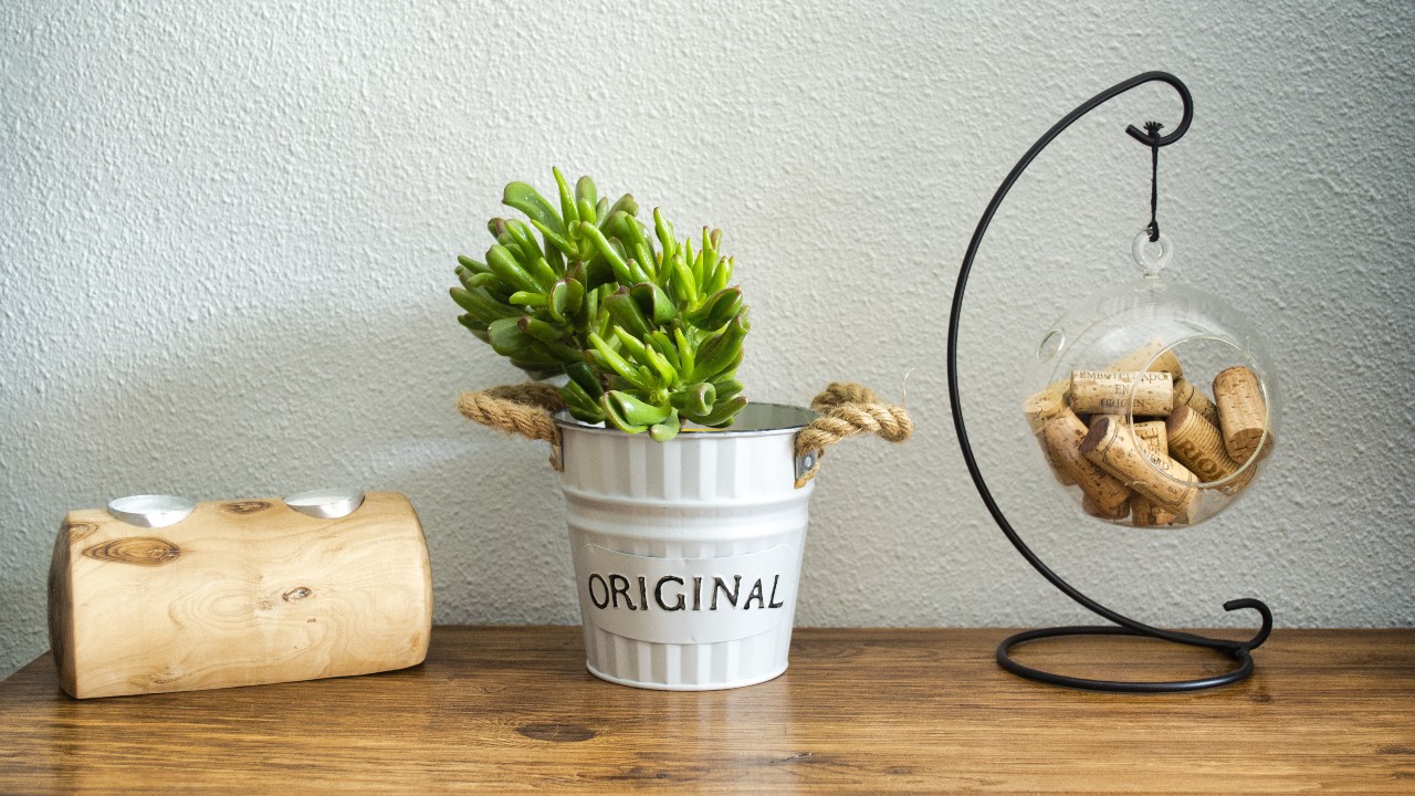 Best Wine Cork Holders on Amazon