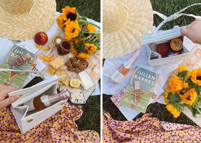 STYLECASTER | Modern Picnic Mini Luncher Review