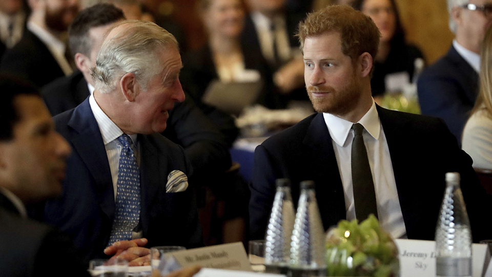 Prince Charles, Prince Harry
