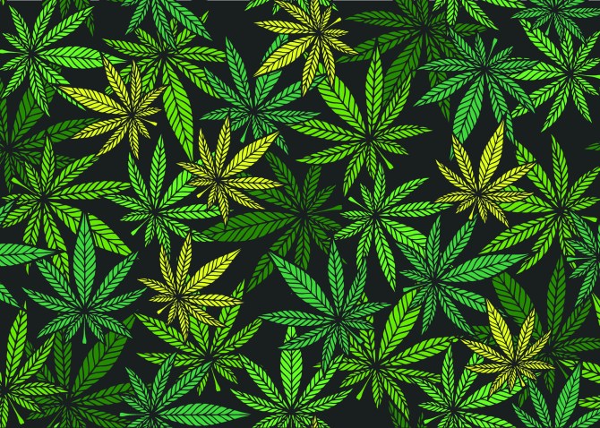 STYLECASTER | 4/20 Zoom Backgrounds