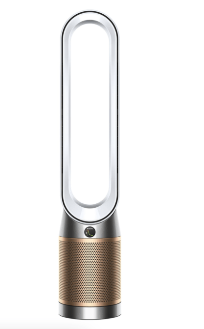STYLECASTER | Dyson Air Purifier