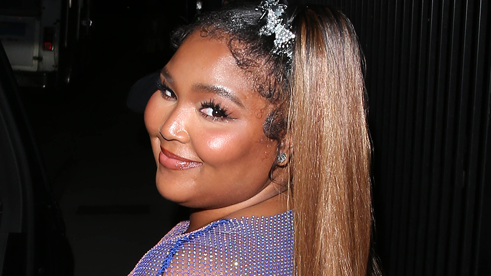 STYLECASTER | Lizzo Sheer Dress