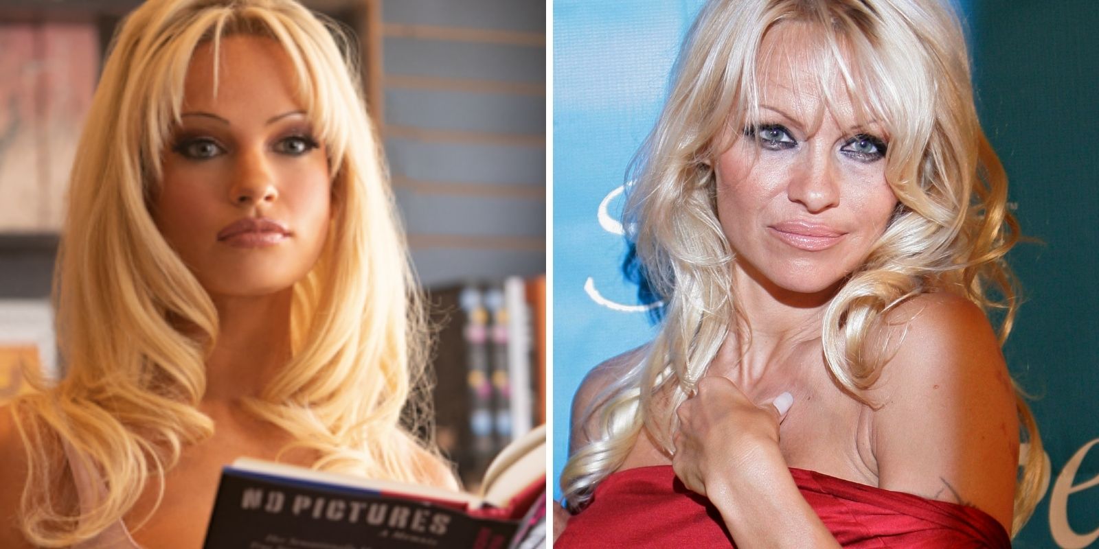 lily james pam anderson