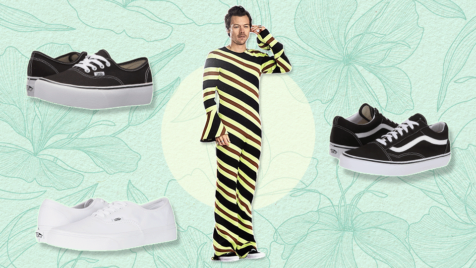 Harry Styles Vans