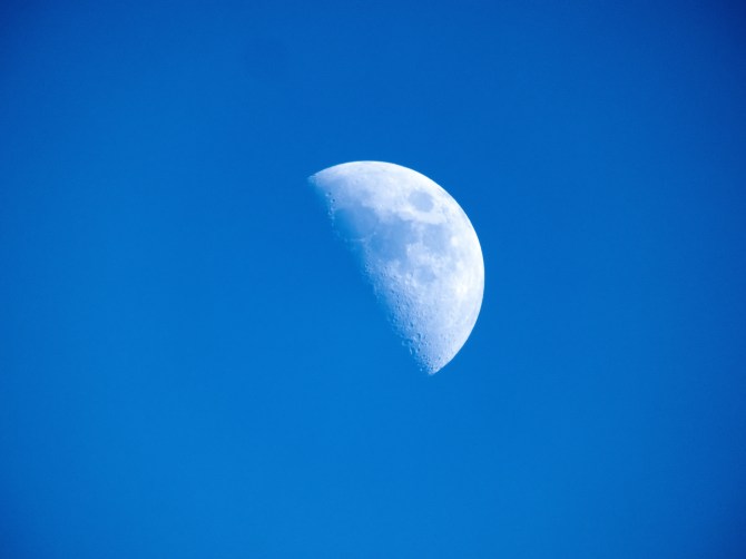 First Quarter Moon