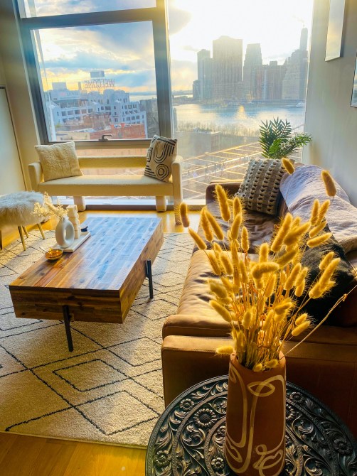 hidden litter box review