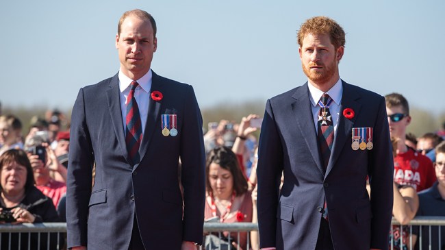Prince William, Prince Harry