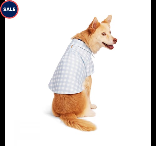 Youly Blue Check Collared Dog Shirt Petco