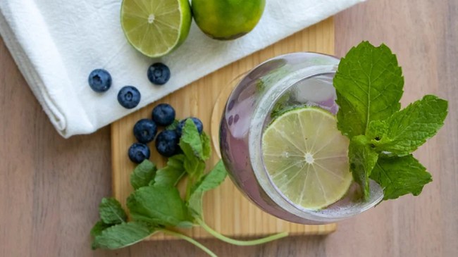 Blueberry Mojito Mocktail