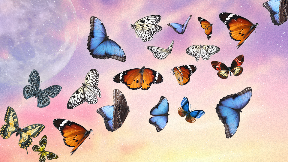 StyleCaster | Here's the Butterfly That Captures Each Zodiac Sign's Ability to Transform