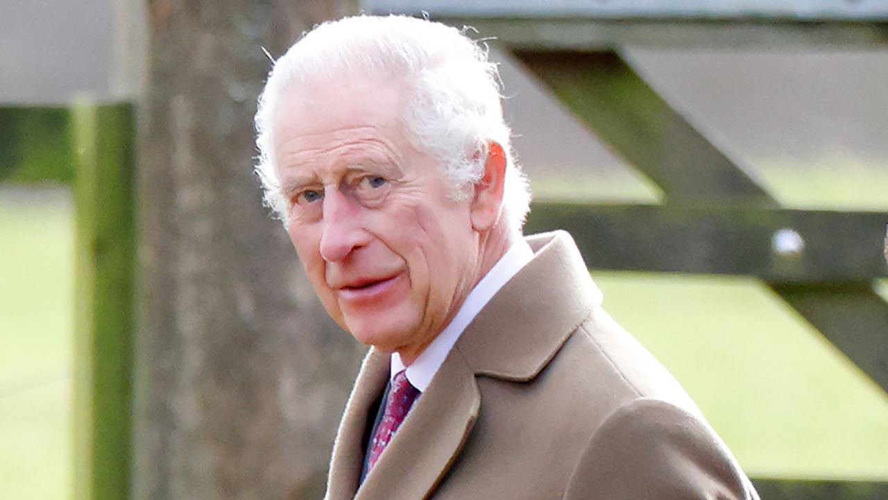 King Charles, a white man with white hair and wearing a brown coat and red tie, looking at the camera. The background is a field.