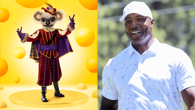 Who's Koala on The Masked Singer?