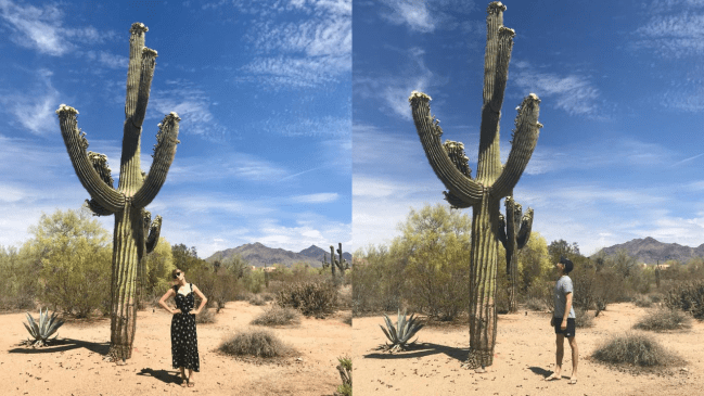 Taylor Swift and Joe Awlyn post matching Instagram posts standing next to a cactus in May 2018