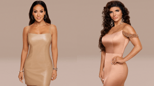 Melissa Gorga, Teresa Giudice - RHONJ