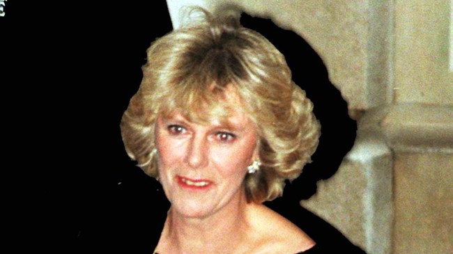 Camilla Parker Bowles Young Photos: Queen Camilla Now vs Then