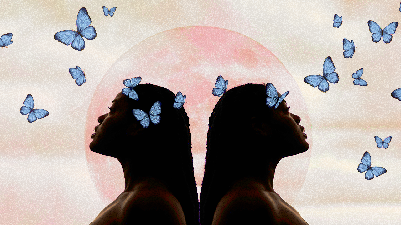 A pair of twins gazing up at a flurry of butterflies, thinking about how tje full moon in Gemini 2024 will affect their zodiac signs