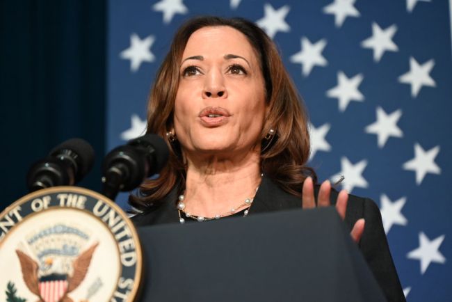 PORTAGE, MICHIGAN, UNITED STATES - JULY 17: Vice President of the United States Kamala Harris comments on the attempted assassination on Former U.S. President Donald J. Trump that happened during his rally on July 13 in Portage, Michigan, United States on July 17, 2024. (Photo by Kyle Mazza/Anadolu via Getty Images)
