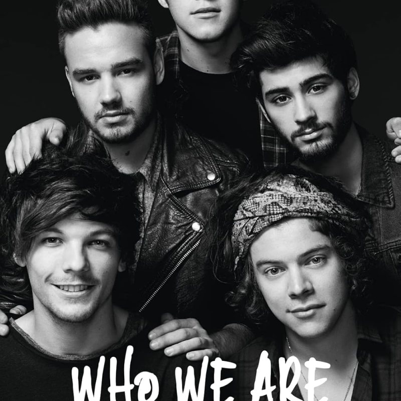 Why DId Zayn Malik Leave One Direction?