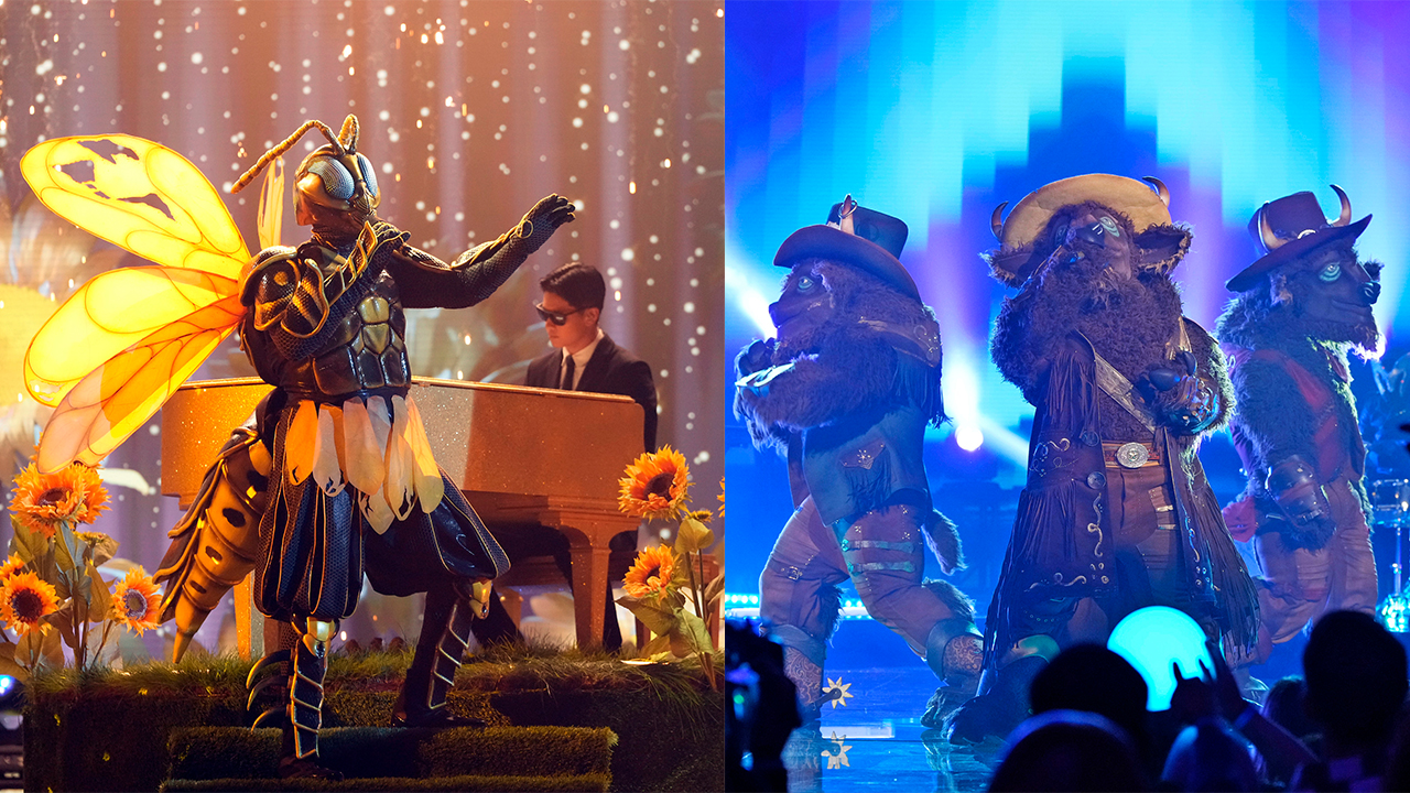 Wasp & Buffalos on The Masked Singer