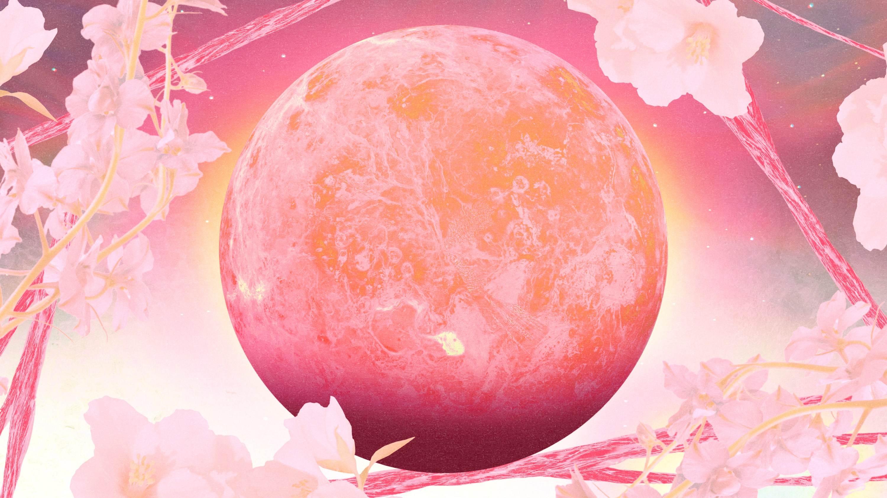 A pink planet Venus hovering over a pink and yellow glowing cosmic background surrounded by flowers
