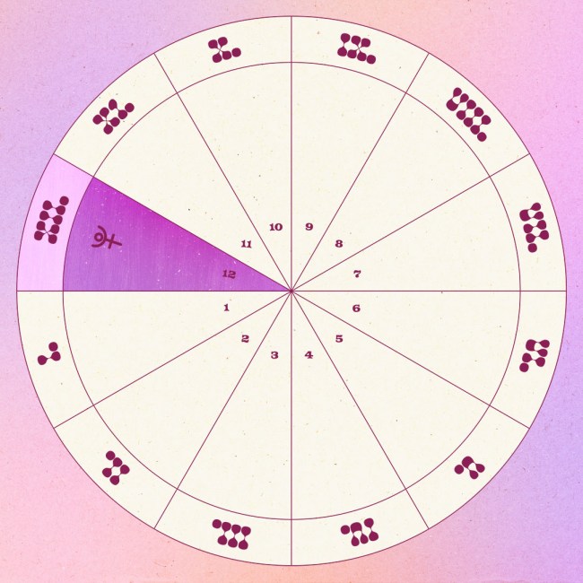 Pluto in the 12th house