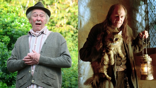 Paul Whitehouse / David Bradley as Argus Filch in Harry Potter and the Prisoner of Azkaban