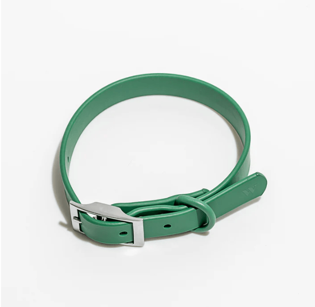 46 Unique & Stylish 'Wicked' Halloween Costume Ideas From a Fan